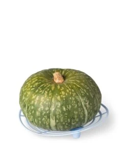 Melon And Squash Cradles, Set Of 6 -Garden Care Shop 8609464 5204 tif
