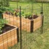 6 Panel Critter Fence With Gate -Garden Care Shop 8609844 8458 6 panel critter fence with gate 3 4