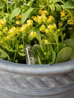 Adjustable Self-Watering Insert For Pots And Planters -Garden Care Shop 8610250 0010 tif