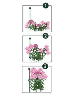 Peacock Mini Plant Support Rings 4", Set Of 2 -Garden Care Shop 8610383 07v