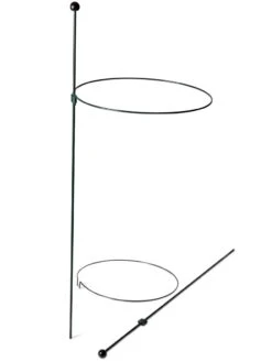 Peacock Classic Plant Support Rings 15", Set Of 2 12 Peacock Classic Plant Support Rings 15", Set Of 2 -Garden Care Shop 8610384 9562 tif