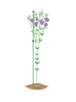 Peacock Mini Plant Support Rings 4", Set Of 2 -Garden Care Shop 8610386 peacock4x36