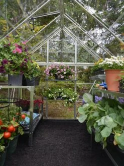 Canopia® By Palram Harmony™ Greenhouse, 6' X 14' -Garden Care Shop 8610563 03V jpg
