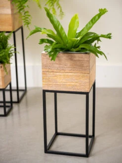 Tartu Elevated Square Planters 15 Tartu Elevated Square Planters -Garden Care Shop 8611005 035