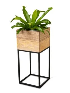 Tartu Elevated Square Planters 20 Tartu Elevated Square Planters -Garden Care Shop 8611005 036