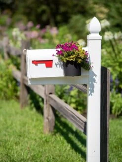 Mailbox Planter -Garden Care Shop 8611026 014 tif
