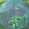 GardenSkill Pop N Crop Plant Umbrella -Garden Care Shop 8611105 01V tif