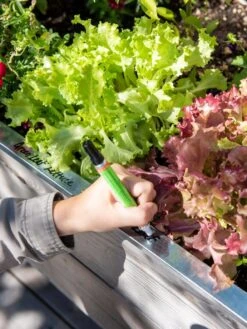 Re-Markable Raised Bed Trim 11 Re-Markable Raised Bed Trim -Garden Care Shop 8611758 301 tif