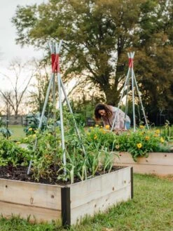 DIY Connector For Teepee Trellis -Garden Care Shop 8611896 38 tif