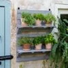 VegTrugĀ® Herb Rack 2 VegTrugĀ® Herb Rack -Garden Care Shop 8611930 6402 tif