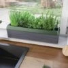 Provence Self-Watering Herb Planter 2 Provence Self-Watering Herb Planter -Garden Care Shop 8611965 01V tif