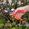 Castellari B12 Double-Blade Pruner 1 Castellari B12 Double-Blade Pruner -Garden Care Shop 8611973 098 tif