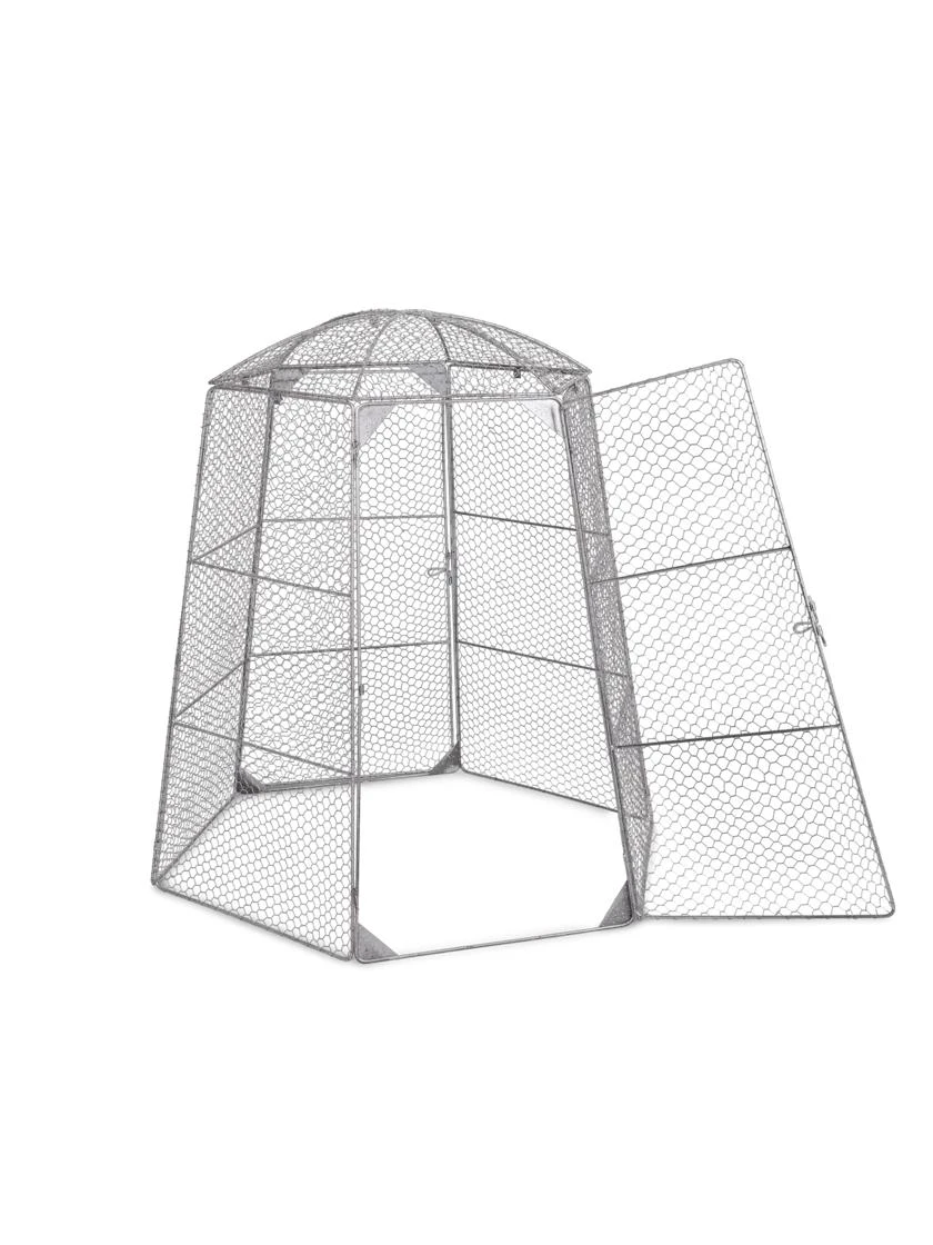 Chicken Wire Super Dome 9 Chicken Wire Super Dome - Image 7