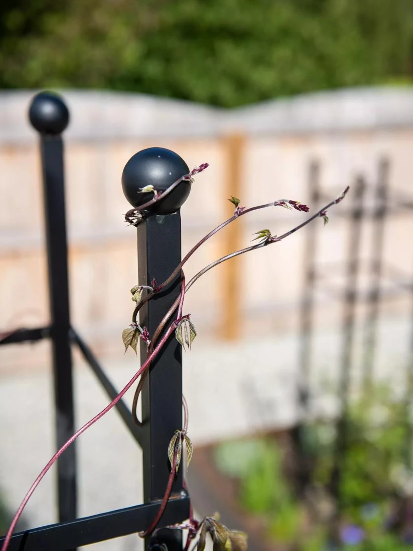 Essex Square Obelisk 7 Essex Square Obelisk - Image 5