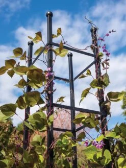 Essex Square Obelisk 10 Essex Square Obelisk -Garden Care Shop 8611984 354 tif