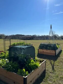 Pest Control Pop-Ups -Garden Care Shop 8611989 05 tif