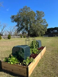 Pest Control Pop-Ups -Garden Care Shop 8611989 08 tif