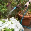 Indoor Outdoor Plant Sprayers -Garden Care Shop 8611993 029 tif