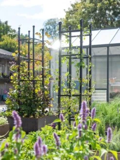 Garden Care Shop -Garden Care Shop 8612046 346 tif