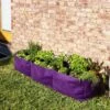 Smart Pot® Raised Bed Planter, Purple -Garden Care Shop 8612142 6347 tif