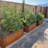 Nice Corten Trough Planters With Trellis -Garden Care Shop 8612390 02V jpg