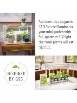 Tabletop Grow Kit 13 Tabletop Grow Kit -Garden Care Shop 8612507 4