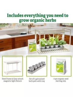 Tabletop Grow Kit 15 Tabletop Grow Kit -Garden Care Shop 8612507 6