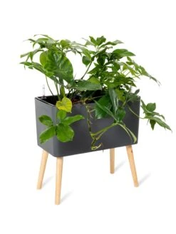 Ava Self-Watering Rectangular Planter -Garden Care Shop 8612691 0013