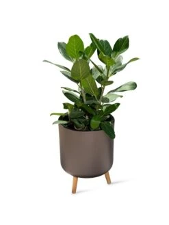 Ava Self-Watering Round Planter 13 Ava Self-Watering Round Planter -Garden Care Shop 8612692 0003