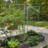 Chicken Wire Pea Trellis 1 Chicken Wire Pea Trellis -Garden Care Shop 8612718 7313 chicken wire pea trellis