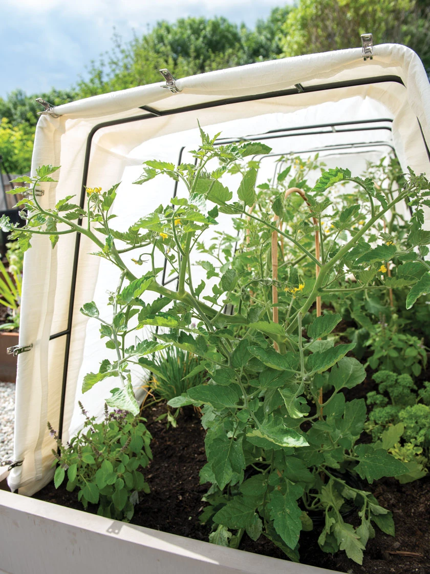 Metal Medium Garden Clips 2.25", Set Of 18 4 Metal Medium Garden Clips 2.25", Set Of 18 - Image 2