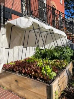 Cotton All Purpose Garden Cover -Garden Care Shop 8612816 01CUST 1