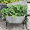 Achla Designs Mini Oval Galvanized Tub With Folding Stand -Garden Care Shop 8612906 02v achla designs mini oval galvanized tub with folding stand
