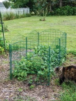 6 Panel Critter Fence With Gate -Garden Care Shop 8612967 2570 tif