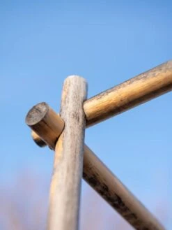 Bamboo Tomato Cages, Set Of 3 -Garden Care Shop 8613143 0385 2