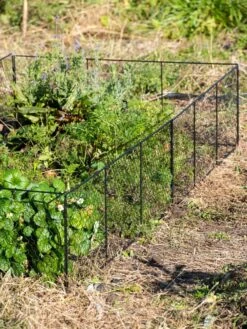 Chicken Wire Critter Fence, 16" High -Garden Care Shop 8613249 0336