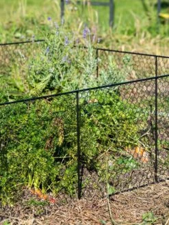 Chicken Wire Critter Fence, 16" High -Garden Care Shop 8613249 0352