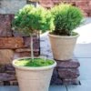 Self-Watering LavaStone® Anson Pot -Garden Care Shop 8613256 0124 self watering lavastone anson pot