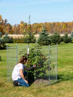 Tall Chicken Wire Critter Fence Extension Panel, Set Of 2 21 Tall Chicken Wire Critter Fence Extension Panel, Set Of 2 -Garden Care Shop 8613260 0044 1