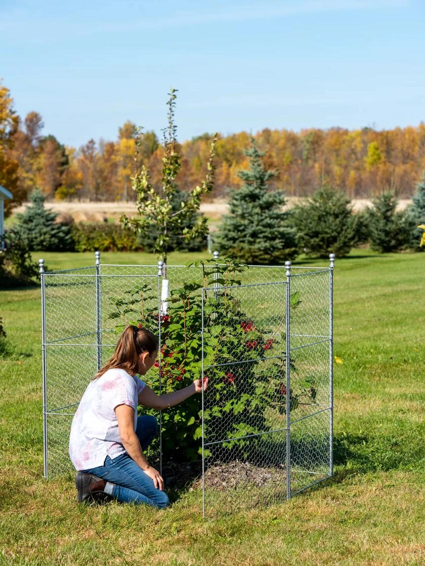 Tall Chicken Wire Critter Fence Extension Panel, Set Of 2 8 Tall Chicken Wire Critter Fence Extension Panel, Set Of 2 - Image 6