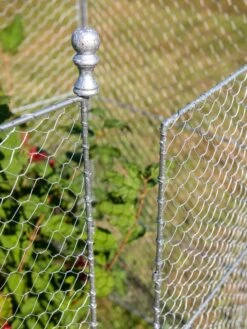 Tall Chicken Wire Critter Fence With Gate -Garden Care Shop 8613260 0083