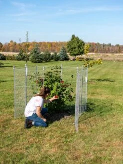 Tall Chicken Wire Critter Fence Extension Panel, Set Of 2 20 Tall Chicken Wire Critter Fence Extension Panel, Set Of 2 -Garden Care Shop 8613260 0090