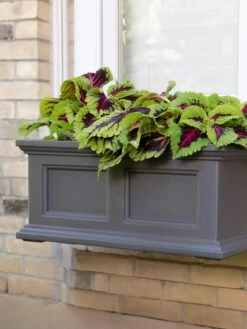 Fairfield Self-Watering Window Box, 2’ 13 Fairfield Self-Watering Window Box, 2’ -Garden Care Shop 8613268 08V tif