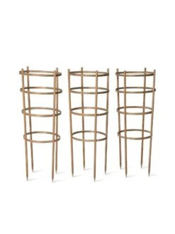 Bamboo Tomato Cages, Set Of 3 -Garden Care Shop 8613426 4679 bamboo tomato cages 3