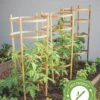 Bamboo Tomato Cages, Set Of 3 -Garden Care Shop 8613426 7
