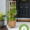 Elevated Bamboo Tomato Planter And Trellis -Garden Care Shop 8613502 13