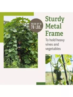 Titan Squash Tunnel -Garden Care Shop B07932DMCR plantsupport benefits 2