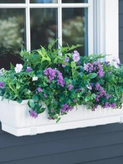 23" Self-Watering Window Box