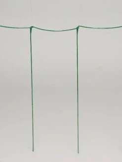 Curved Linking Stakes 10 Curved Linking Stakes -Garden Care Shop GS35241 04S tif