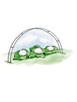 Super Hoops, Set Of 6 10 Super Hoops, Set Of 6 -Garden Care Shop GS39423 02S 3 4